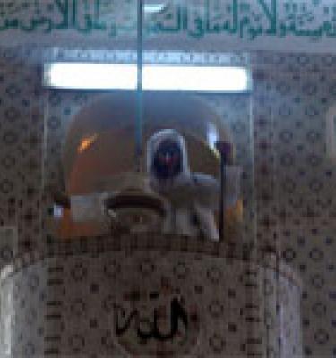 حقائق التسبيح في منهاج صاحب الإسراء والمعراج